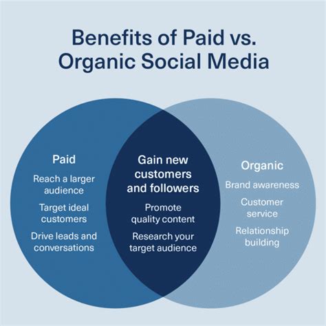 Paid vs Free * Do you find it helps to have BOTH a paid ...